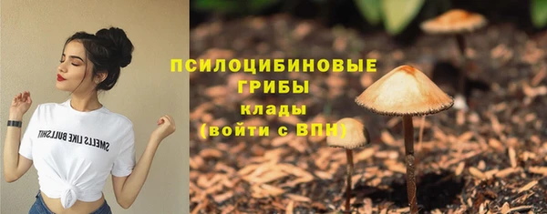 ALPHA-PVP Богородск