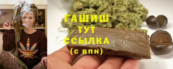 гашик Богородицк